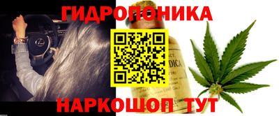 ГАЛЛЮЦИНОГЕННЫЕ ГРИБЫ Абакан