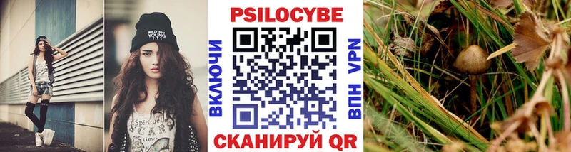 где найти   Баксан  Галлюциногенные грибы ЛСД 
