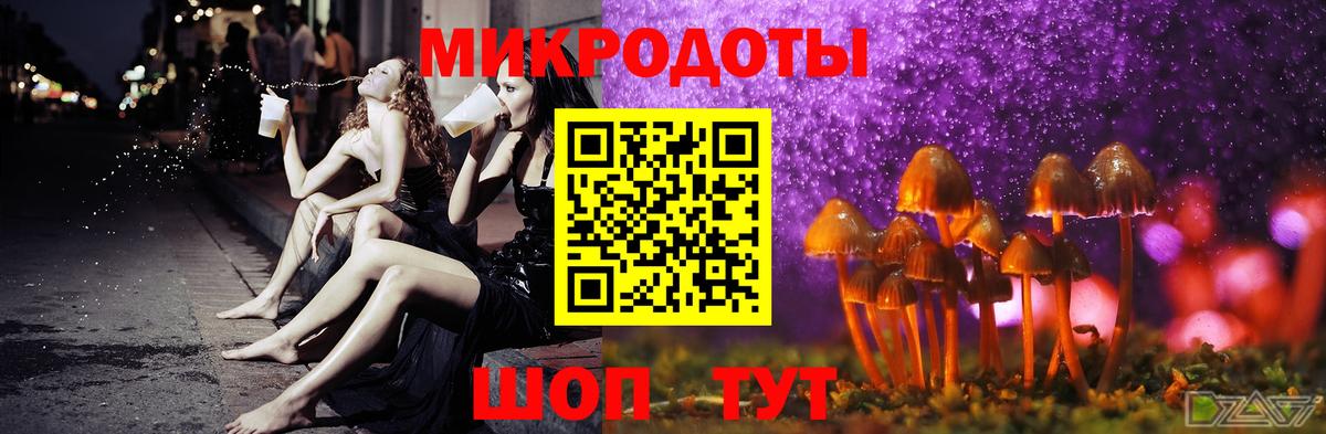 Псилоцибиновые грибы MAGIC MUSHROOMS  Вход с VPN  Баксан 